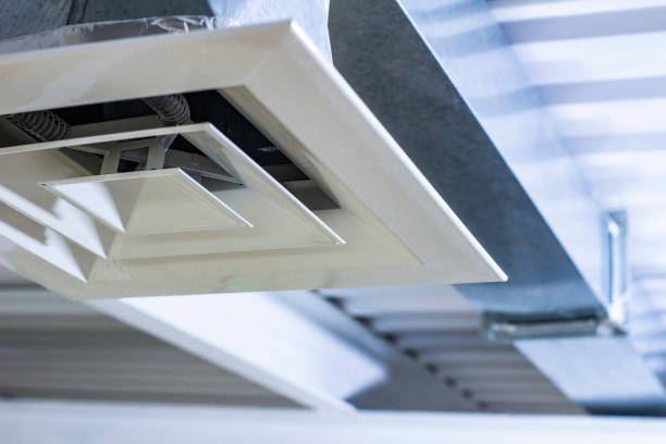 Air Duct Mold Removal in Florence, MT