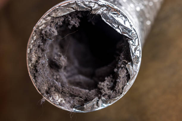 Best Air Duct Cleaning Near Me  in Florence, MT